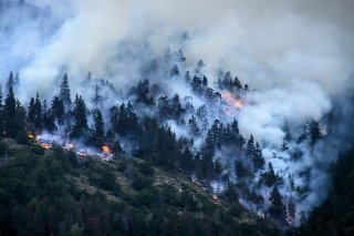 Un important incendie ravage depuis lundi une forêt dans le Haut-Valais. La sécheresse est notamment en cause.